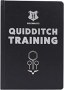 quidditch training